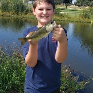 Meet your Posher, Chad